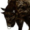 Buffalo